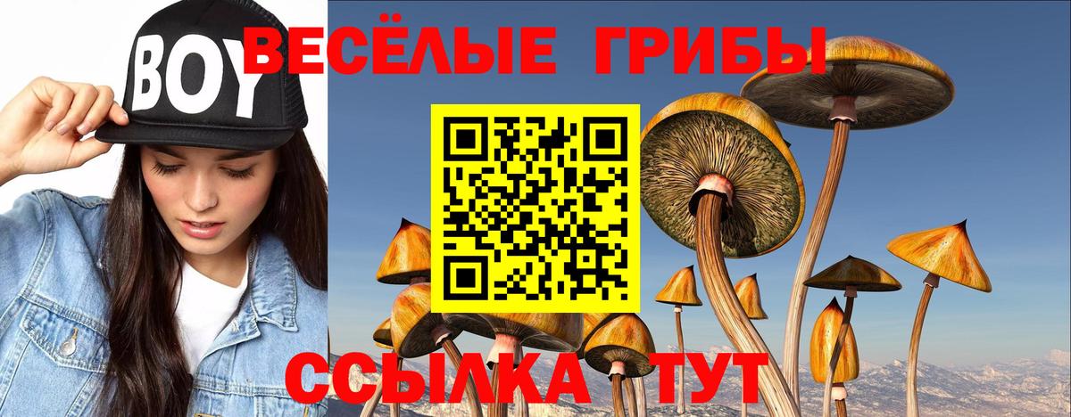 Галлюциногенные грибы Cubensis Новодвинск
